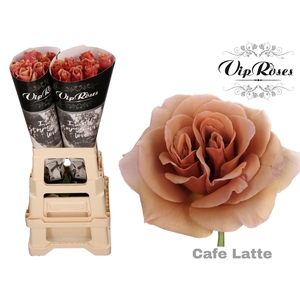 R GR CAFE LATTE x 20