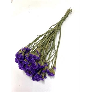 DROOG STATICE BLUE N