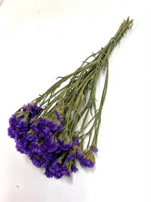 <h4>DROOG STATICE BLUE N</h4>