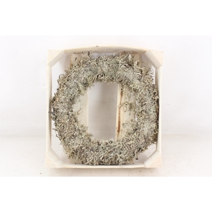 arr3 GB - Larex krans 25cm