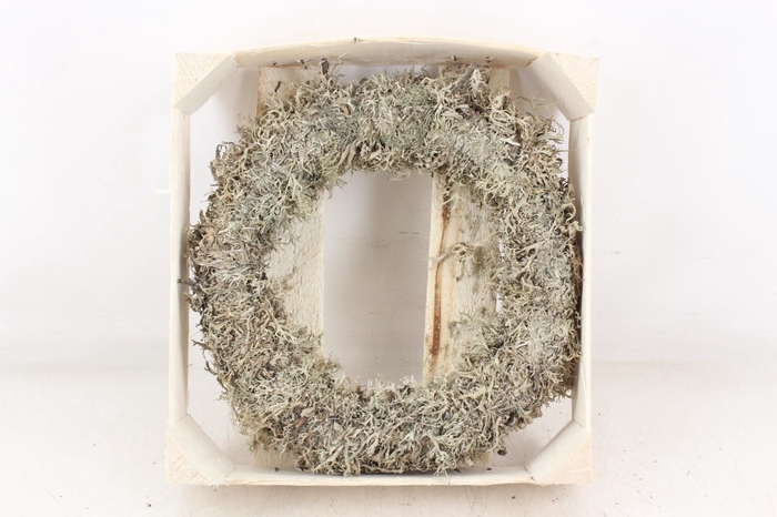 <h4>arr3 GB - Larex krans 25cm</h4>