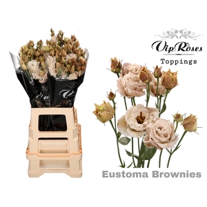 Lisianthus do paint brownies