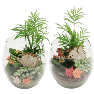 0201 SCHUIN GLAS CHAM