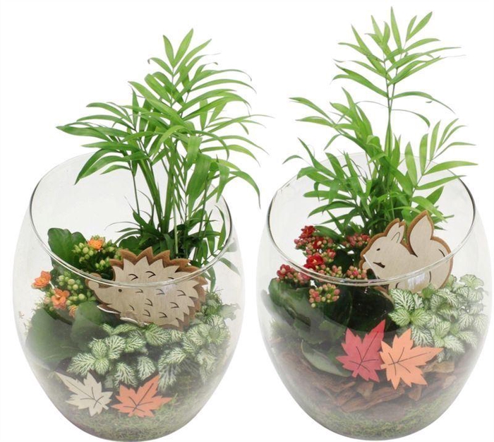 <h4>0201 SCHUIN GLAS CHAM</h4>