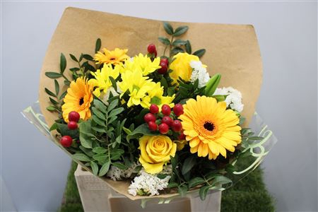 <h4>Gem Boe Middel Geel 25 Stelen Vers</h4>
