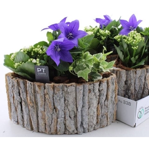 ARR TUINPLANTEN