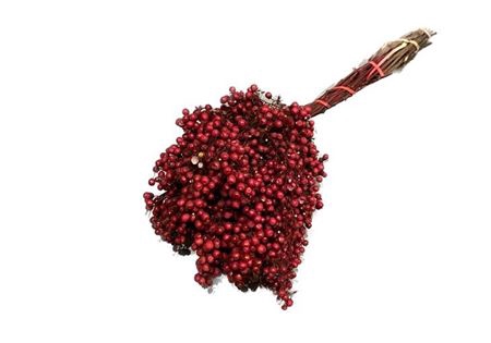 <h4>Bunch Pepperberries INV</h4>