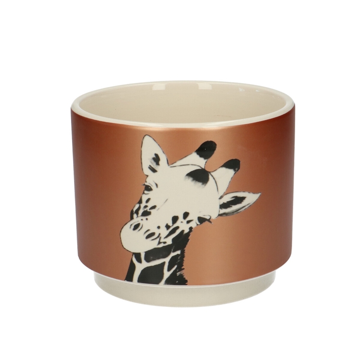 <h4>Ceramics Giraffe pot d13*10.5cm</h4>