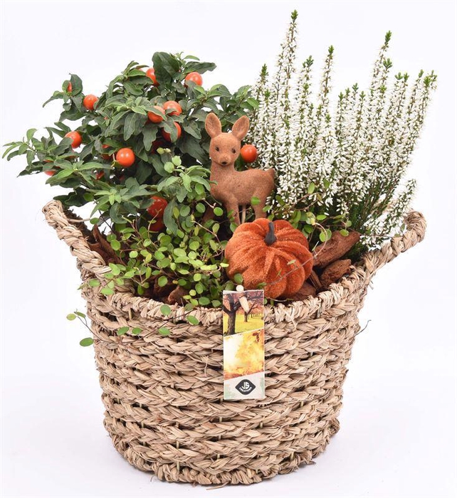 <h4>Natuiur mand gevl met oren 23cm</h4>