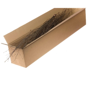 Birch 115cm 3pc Sb Natural