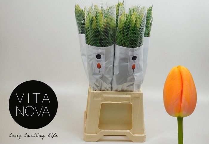 <h4>TU EN DORDOGNE</h4>