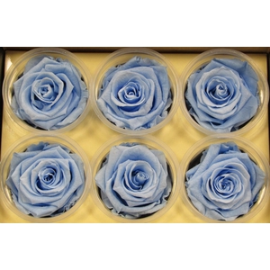 R Prs Blue baby Gracefull