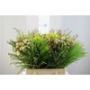 Protea Boeket