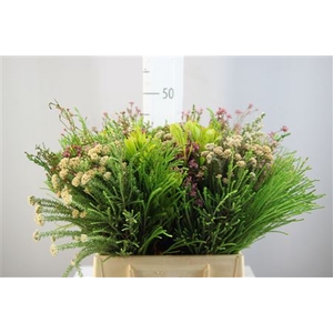Protea Boeket