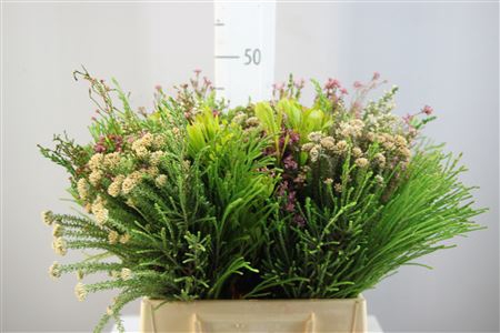 <h4>Protea Boeket</h4>