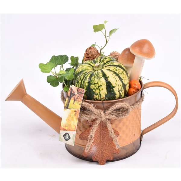 <h4>Arrangementen Sierfruit</h4>