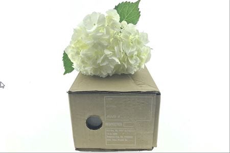 <h4>Hydr ( Box ) White</h4>