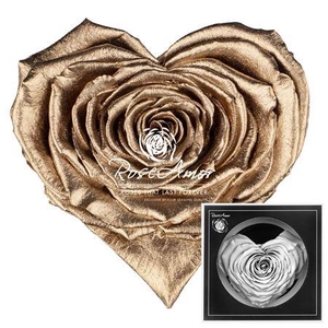 Corazon Metallic Gold