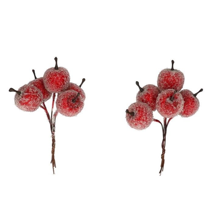 <h4>Herfst Appel frosted/draad 2.5cm x20</h4>