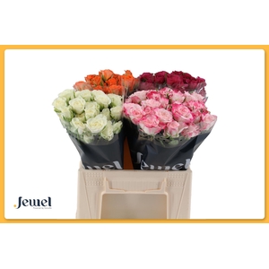 R TR GEM IN FUST Tros Water