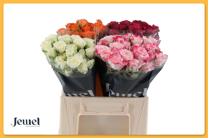 <h4>R TR GEM IN FUST Tros Water</h4>