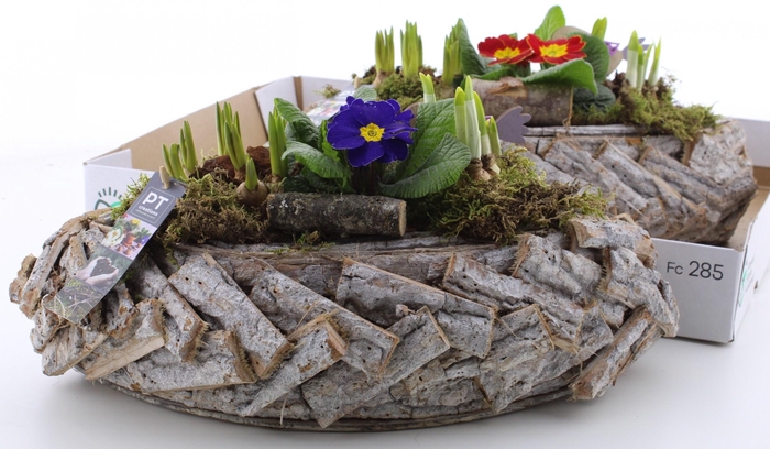 <h4>ARR PL IN SCHAAL</h4>