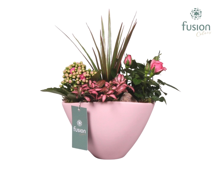 <h4>Pot keramiek ovaal Medium licht roze met Arrangement</h4>