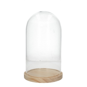 Glass Cloche+wood d16.5*27cm