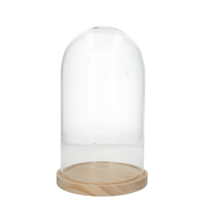 <h4>Glass Cloche+wood d16.5*27cm</h4>