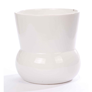 P&PURE Maxima ceramics white: 48 dozen x 12