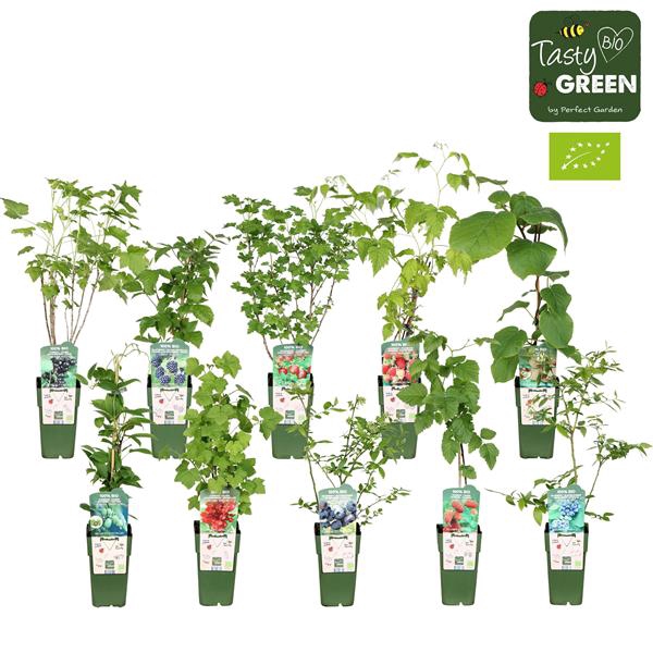 <h4>Fruit mix tray bio standaard P15</h4>