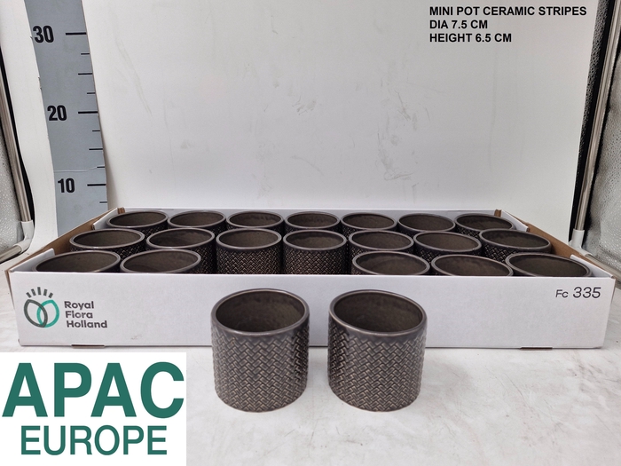 <h4>KERAMISCHE POT H%</h4>