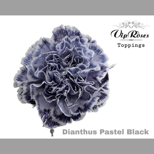 DI ST PASTEL BLACK