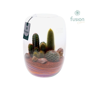 Green Bottle Isabella XLarge met zand arrangement