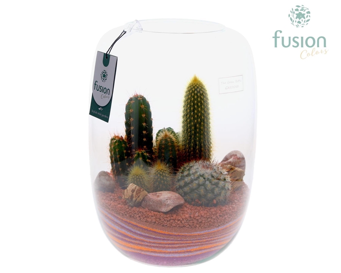 <h4>Green Bottle Isabella XLarge met zand arrangement</h4>