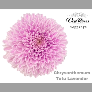 CHR G TUTU LAVENDEL