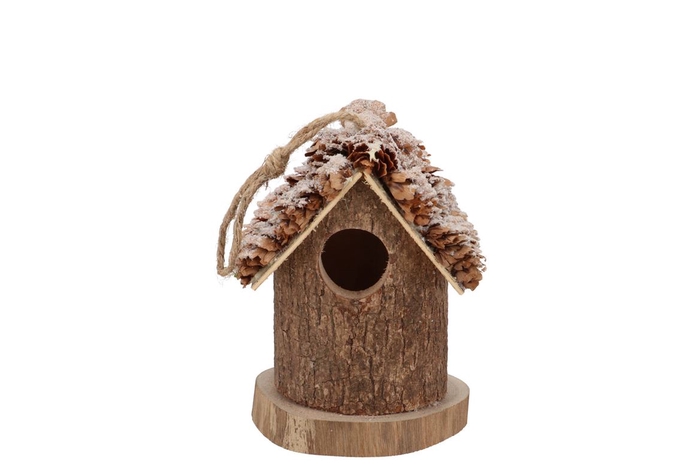 Festive Bird Nest Pine Moss With Snow 10x10x12cm