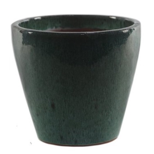 VASO YARA DRIPGREEN D22 A22 IMP
