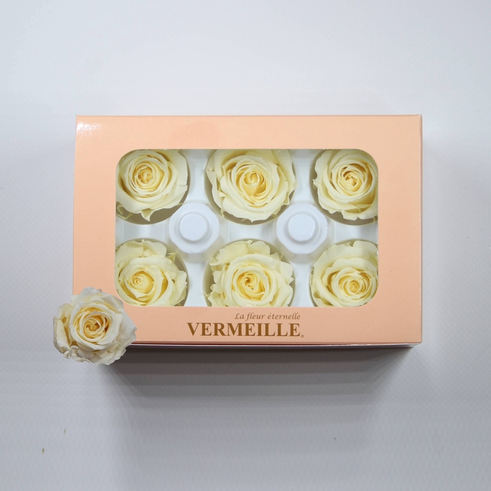 Rose Ines Pastel Yellow