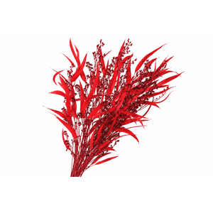 Dried Bleached Eucalyptus Exotica Wine Red