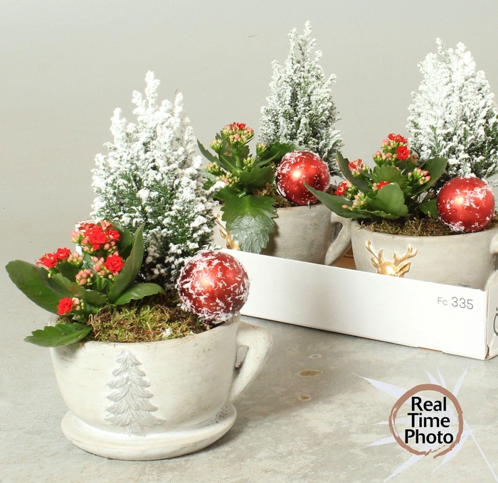 <h4>Arr Kamerpl</h4>