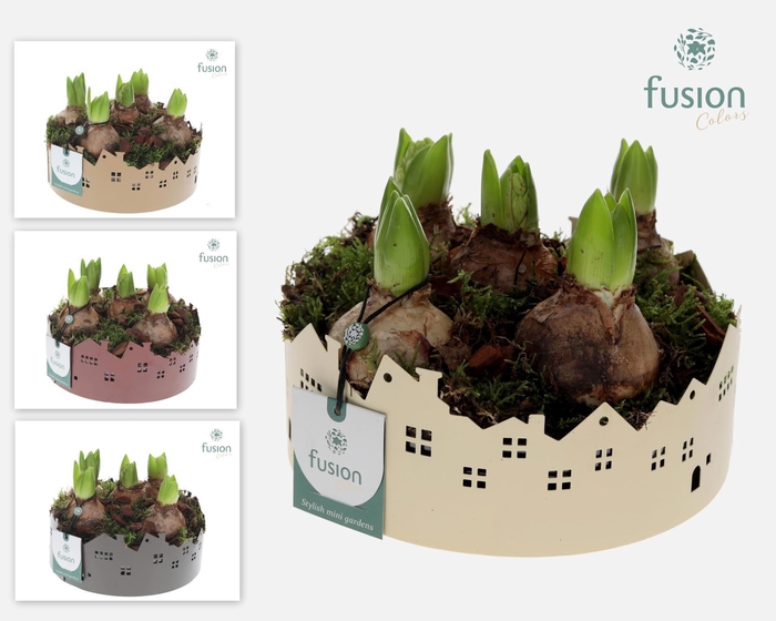 <h4>Zinken schaal Huisjes Medium Hyacinthus</h4>