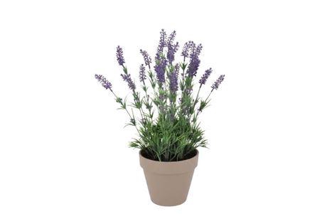 <h4>Silk Lavender Purple Pot Terra M 21x21x32cm</h4>