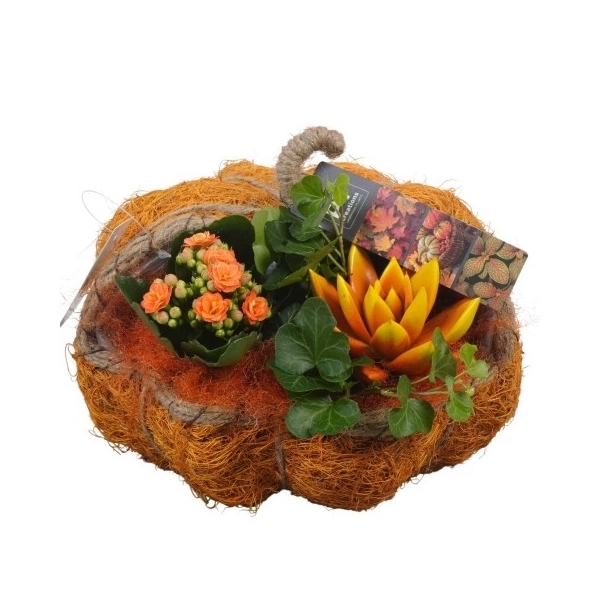 <h4>PTHI5461 Arrangement Herfst Indoor in stro pompoen</h4>