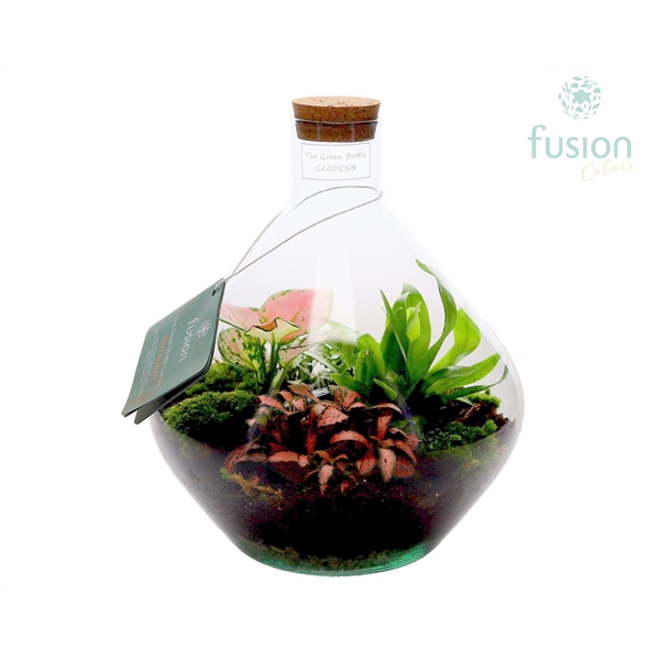 <h4>Terrarium John Medium met arrangement</h4>