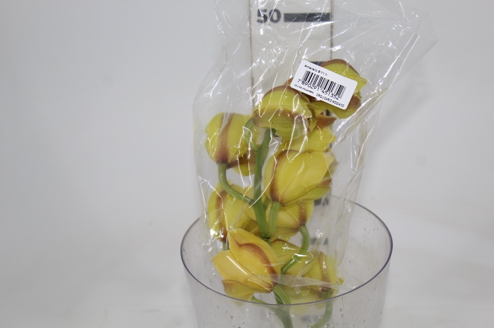 CYMBIDIUM HT MIN 9 FLS AMARELO