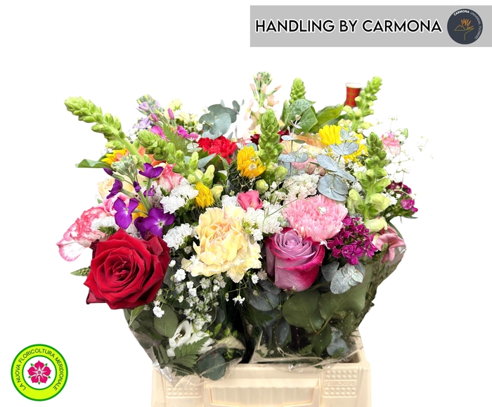 <h4>GEM BOEKET OV</h4>