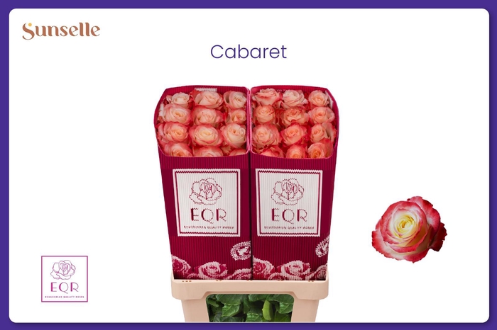 <h4>R GR CABARET</h4>