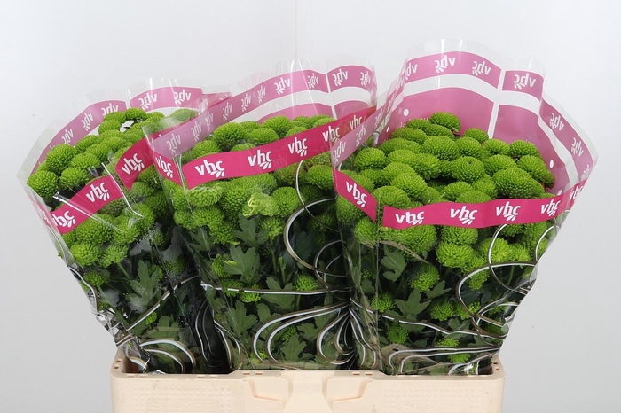 <h4>Chr S Aaa Peptalk</h4>