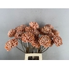 Stick Shola Artichoke Ø12 Salm